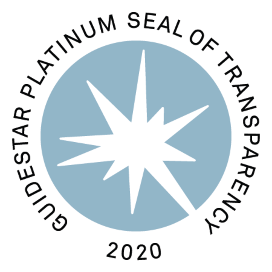 GuideStart Platinum 2020